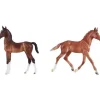 Best of British Thoroughbred and Hackney Foal Set