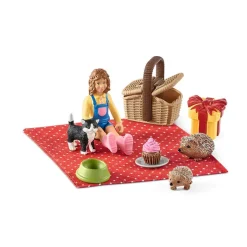 Birthday Picnic