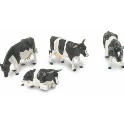 Black & White Friesian Dairy Cows