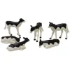 6 Black & White Standing & Lying Calves