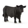 Black Angus Bull