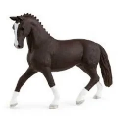 Black Hannoverian Mare