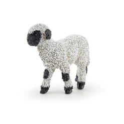 Black Nose Valais Lamb