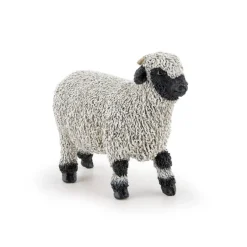 Black Nose Valais Sheep