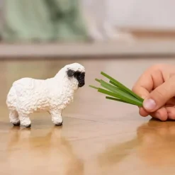 Blacknose Sheep