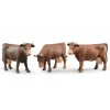 Brown Cow