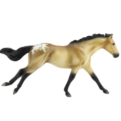Buckskin Blanket Appaloosa