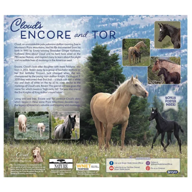Cloud's Encore & Tor Gift Set