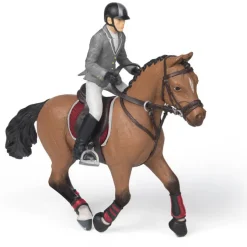 Competition Horse with Rider