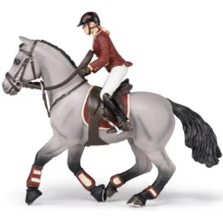 Competition Horse with Riding Girl