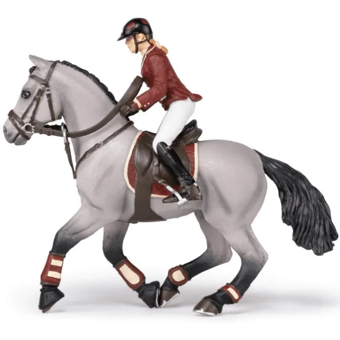 Competition Horse with Riding Girl