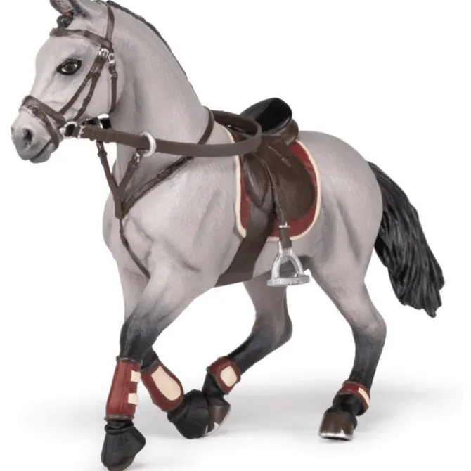 Competition Horse with Riding Girl