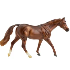 Coppery Chestnut Thoroughbred