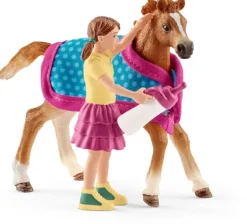 Foal with Blanket