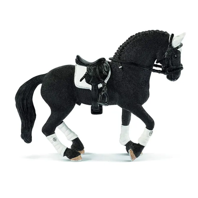 Frisian Stallion with Saddle and Tack