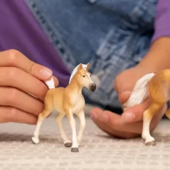 Halfinger Foal