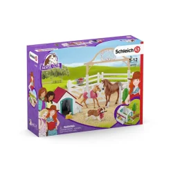 Hannah's Guest Horses with Ruby the Dog
