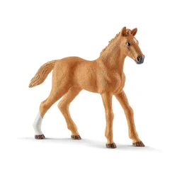 Hannah's Guest Horses with Ruby the Dog
