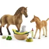 Horse Club Sarah’s baby animal care