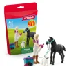 Horse Grooming Playset with Appaloosa Foal