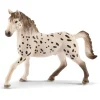 Knapstrupper Stallion