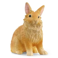 Lionhead Rabbit