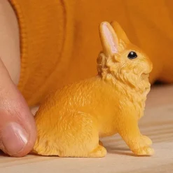 Lionhead Rabbit