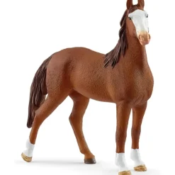 Marwari Mare