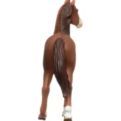 Marwari Mare