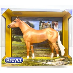 Palomino