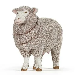 Papo Merino Ewe