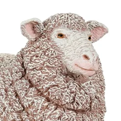 Papo Merino Ewe