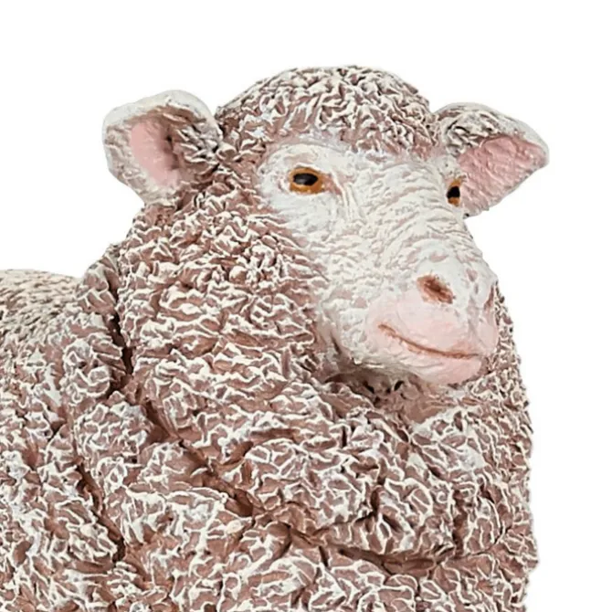 Papo Merino Ewe