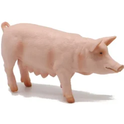 Papo Sow