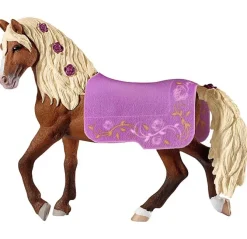 Paso Fino Stallion Horse Show