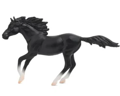 Poetry in Motion Horse Gift Set