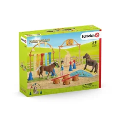 Pony Agility Training