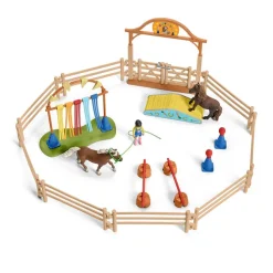 Pony Agility Training
