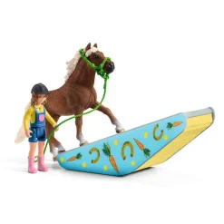 Pony Agility Training