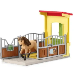 Pony Box with Iceland Pony Stallion
