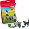 Schleich Mucking & Grooming Playset