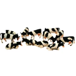 Set of 12 Black & White Cows