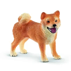 Shiba Inu Mother and Puppy