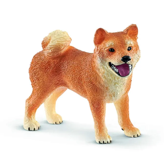 Shiba Inu Mother and Puppy