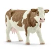Simmental Cow