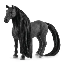 Sofia's Beauties Criollo Definitivo Mare Beauty Horse