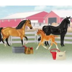 Spanish Mustang Family
