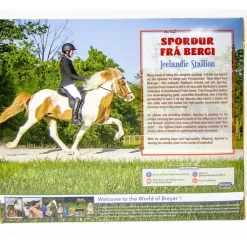 Sporour fra Bergi