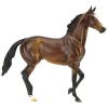 Tiz the Law Thoroughbred Horse