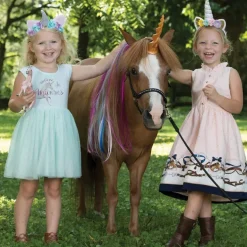 Unicorn Aurora
